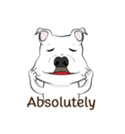 Cigar the Pitbull（個別スタンプ：4）