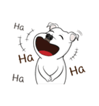 Cigar the Pitbull（個別スタンプ：5）
