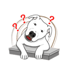 Cigar the Pitbull（個別スタンプ：8）