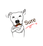 Cigar the Pitbull（個別スタンプ：9）
