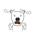 Cigar the Pitbull（個別スタンプ：10）