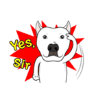 Cigar the Pitbull（個別スタンプ：12）