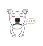 Cigar the Pitbull（個別スタンプ：14）