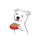 Cigar the Pitbull（個別スタンプ：15）