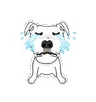 Cigar the Pitbull（個別スタンプ：18）