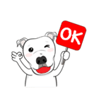 Cigar the Pitbull（個別スタンプ：20）