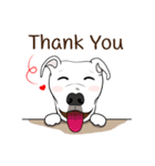 Cigar the Pitbull（個別スタンプ：21）