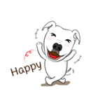 Cigar the Pitbull（個別スタンプ：22）