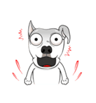 Cigar the Pitbull（個別スタンプ：24）