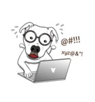 Cigar the Pitbull（個別スタンプ：28）