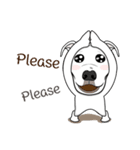 Cigar the Pitbull（個別スタンプ：30）