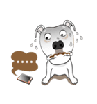 Cigar the Pitbull（個別スタンプ：32）