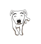 Cigar the Pitbull（個別スタンプ：35）