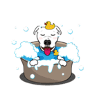 Cigar the Pitbull（個別スタンプ：38）
