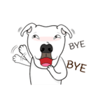 Cigar the Pitbull（個別スタンプ：39）