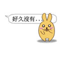 Chat raise rabbits Machi (brand new)（個別スタンプ：30）