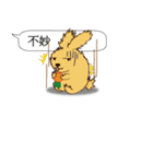 Chat raise rabbits Machi (brand new)（個別スタンプ：39）