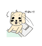 シュール犬 コナタ（個別スタンプ：5）