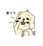 シュール犬 コナタ（個別スタンプ：7）