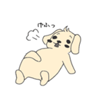 シュール犬 コナタ（個別スタンプ：9）