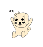 シュール犬 コナタ（個別スタンプ：21）