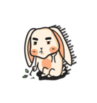 Dumb Bunny！（個別スタンプ：25）
