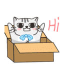 多多は猫です（個別スタンプ：1）
