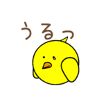 ぴよリーマン（個別スタンプ：8）