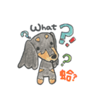 ダックス「ハル」＆ フレンズ（個別スタンプ：8）