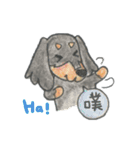 ダックス「ハル」＆ フレンズ（個別スタンプ：10）