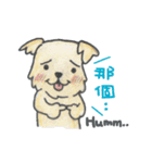 ダックス「ハル」＆ フレンズ（個別スタンプ：40）