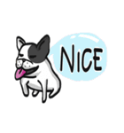 Frenchie Funny Dog（個別スタンプ：3）