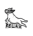Frenchie Funny Dog（個別スタンプ：6）