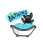 Frenchie Funny Dog（個別スタンプ：12）