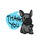 Frenchie Funny Dog（個別スタンプ：20）