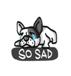 Frenchie Funny Dog（個別スタンプ：25）