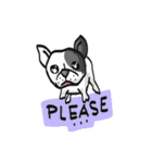 Frenchie Funny Dog（個別スタンプ：30）