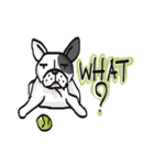 Frenchie Funny Dog（個別スタンプ：35）