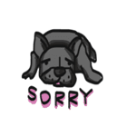 Frenchie Funny Dog（個別スタンプ：36）