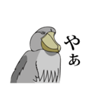最強の鳥！ハシビロコウさん（個別スタンプ：4）