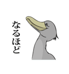 最強の鳥！ハシビロコウさん（個別スタンプ：5）