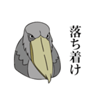 最強の鳥！ハシビロコウさん（個別スタンプ：8）