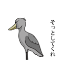 最強の鳥！ハシビロコウさん（個別スタンプ：29）