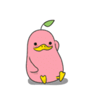 Cong Ducky ver.1（個別スタンプ：10）