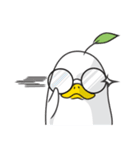 Cong Ducky ver.1（個別スタンプ：25）