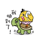 Chitchat  Pal - PiPi Chicken（個別スタンプ：8）