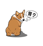 バセットハウンド(犬) 8（個別スタンプ：6）