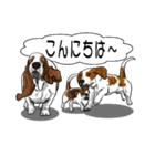 バセットハウンド(犬) 8（個別スタンプ：34）