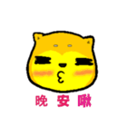 Shiba bear's life chapter（個別スタンプ：6）