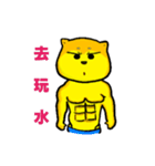Shiba bear's life chapter（個別スタンプ：11）